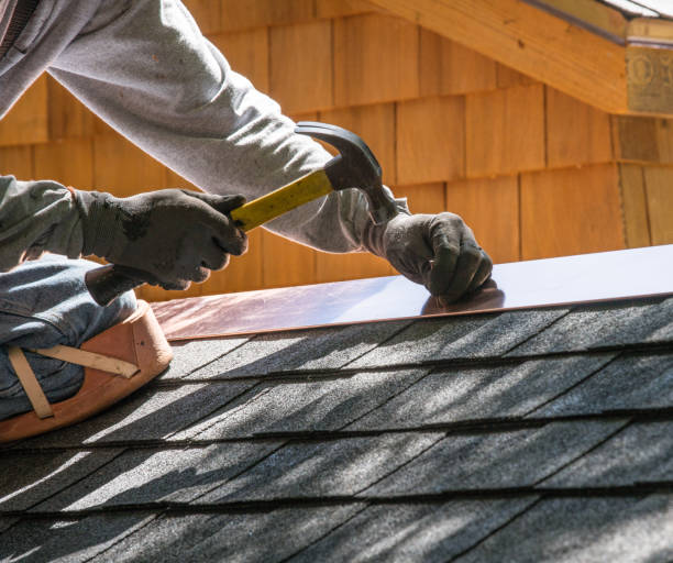 Best Roof Gutter Cleaning  in Newark, OH